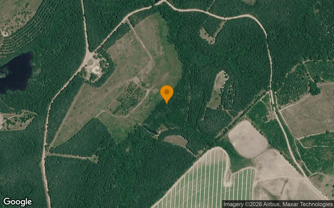34.83 Acres in Milan - Telfair County, GA in Telfair County, Georgia
