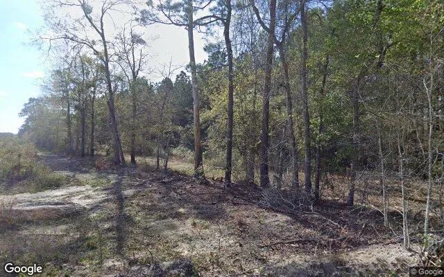 34.83 Acres in Milan - Telfair County, GA in Telfair County, Georgia