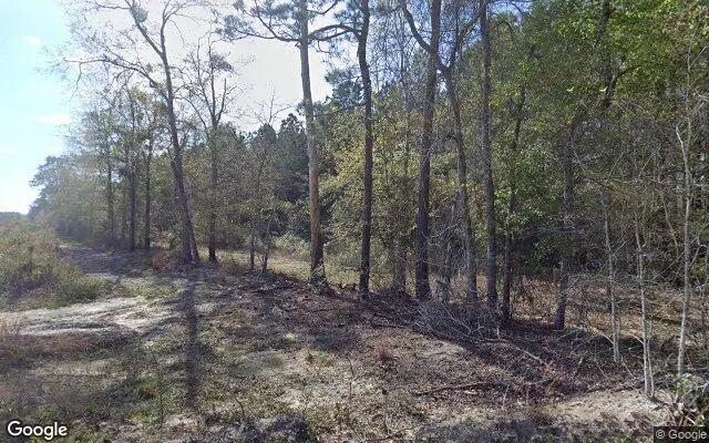 34.83 Acres in Milan - Telfair County, GA - Image 4