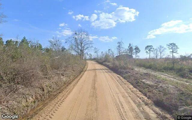 Decorative background for 34.83 Acres in Milan - Telfair County, GA image 5