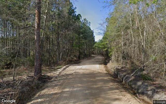 Decorative background for 34.83 Acres in Milan - Telfair County, GA image 6