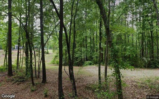 Decorative background for 0.18 Acres in Whitesburg - Carroll County, GA image 5