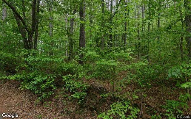 Decorative background for 0.18 Acres in Whitesburg - Carroll County, GA image 6