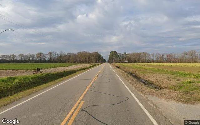 Decorative background for 1.5 Acres in Cobbtown - Tattnall County, GA image 5
