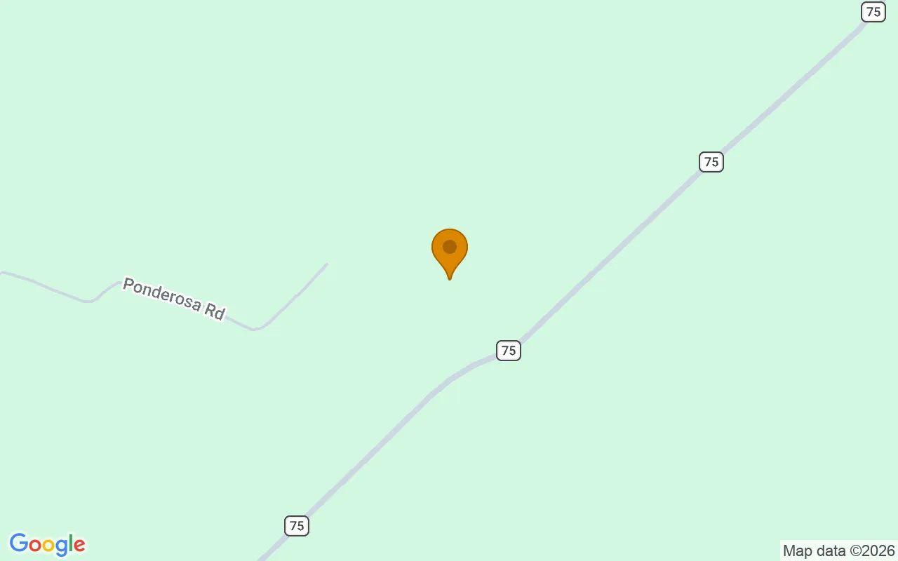 35.09 Acres in Glenwood - Wheeler County, GA in Wheeler County, Georgia