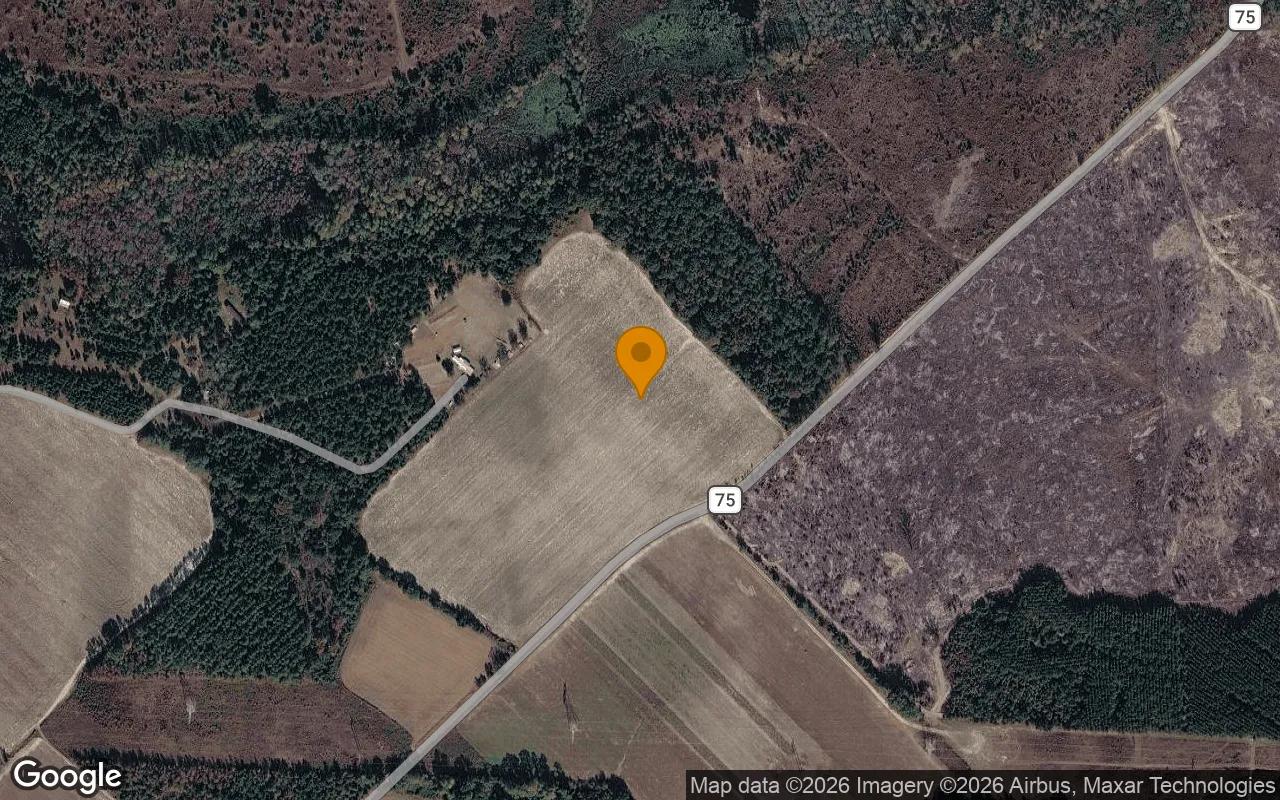 Decorative background for 35.09 Acres in Glenwood - Wheeler County, GA image 6