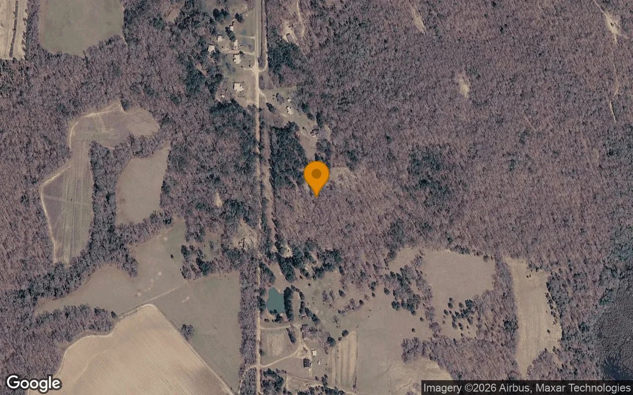 7.18 Acres in Buena Vista - Schley County, GA in Schley County, Georgia