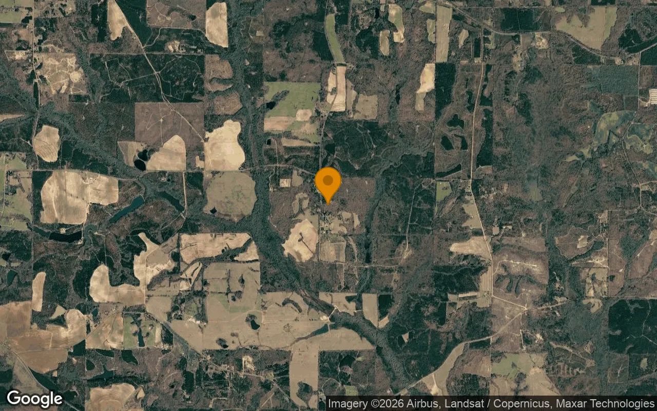 7.18 Acres in Buena Vista - Schley County, GA in Schley County, Georgia