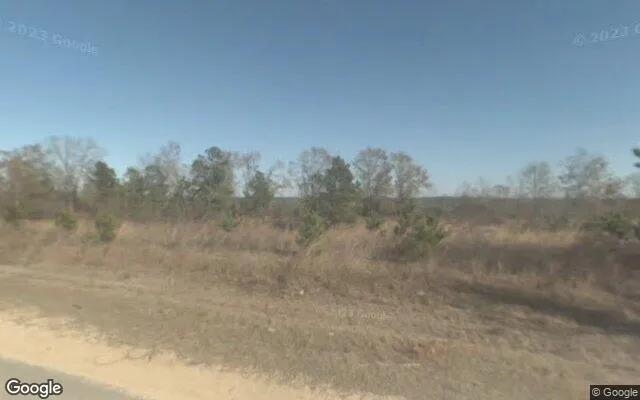 Decorative background for 7.18 Acres in Buena Vista - Schley County, GA image 5