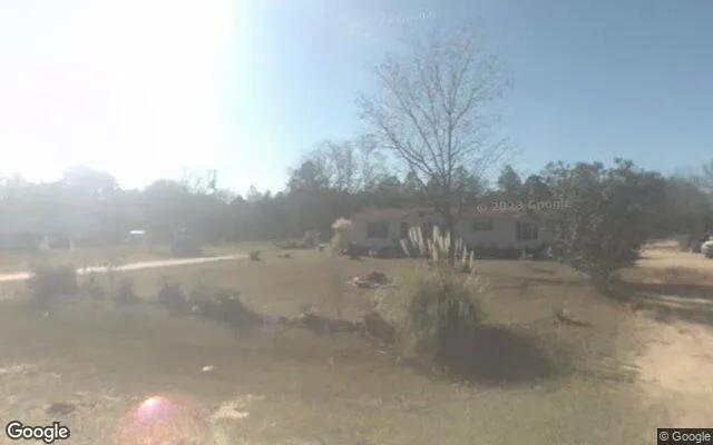 Decorative background for 7.18 Acres in Buena Vista - Schley County, GA image 6