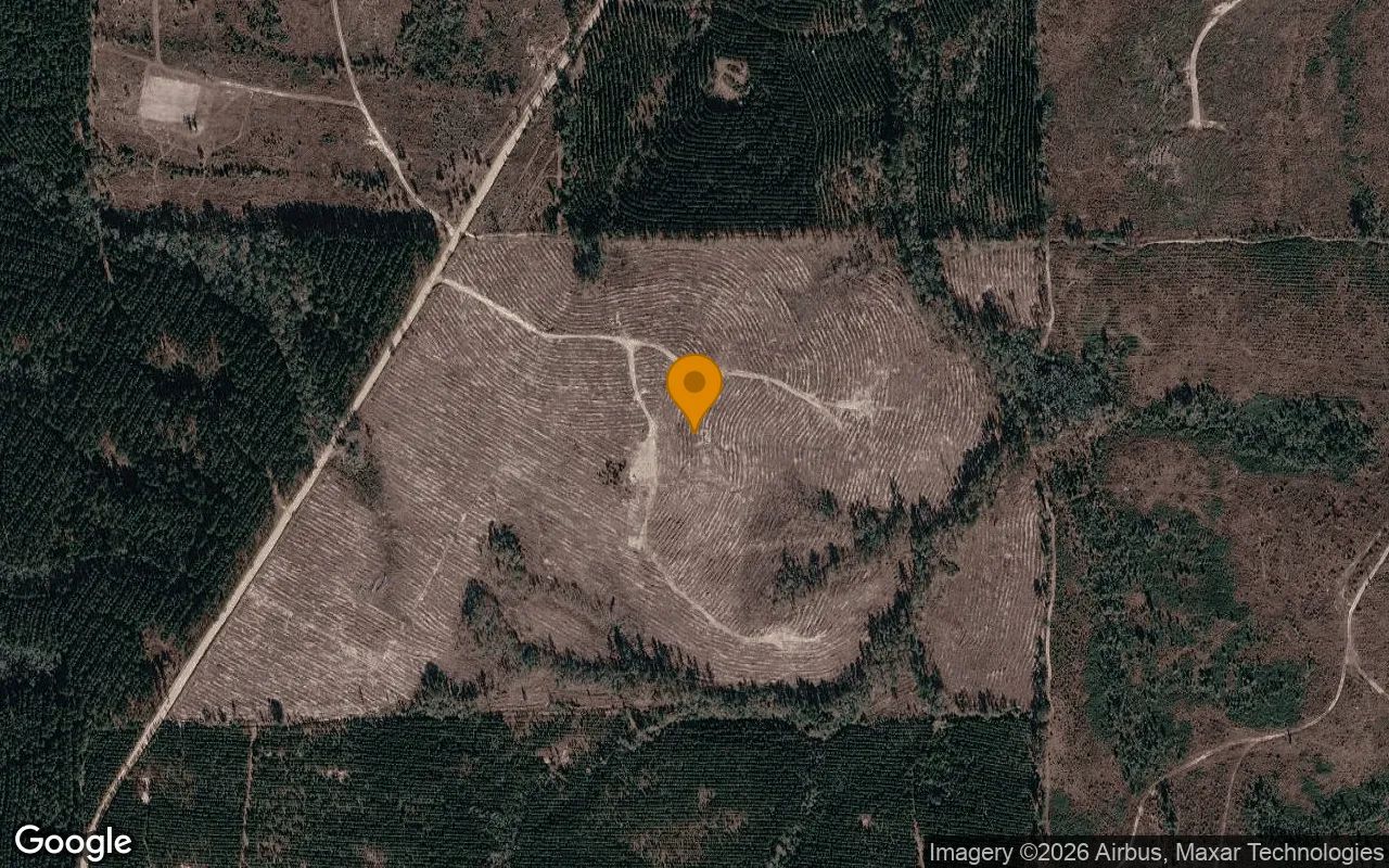 74.57 Acres in Pitts - Wilcox County, GA in Wilcox County, Georgia