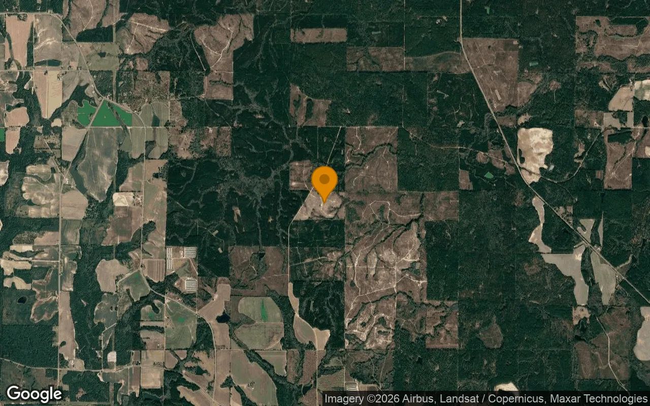 74.57 Acres in Pitts - Wilcox County, GA in Wilcox County, Georgia