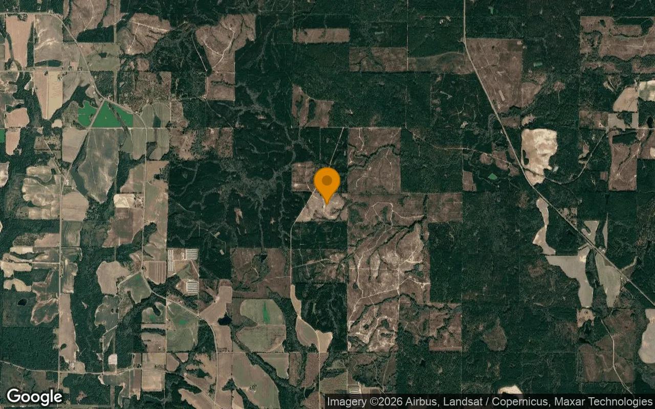 74.57 Acres in Pitts - Wilcox County, GA - Image 3