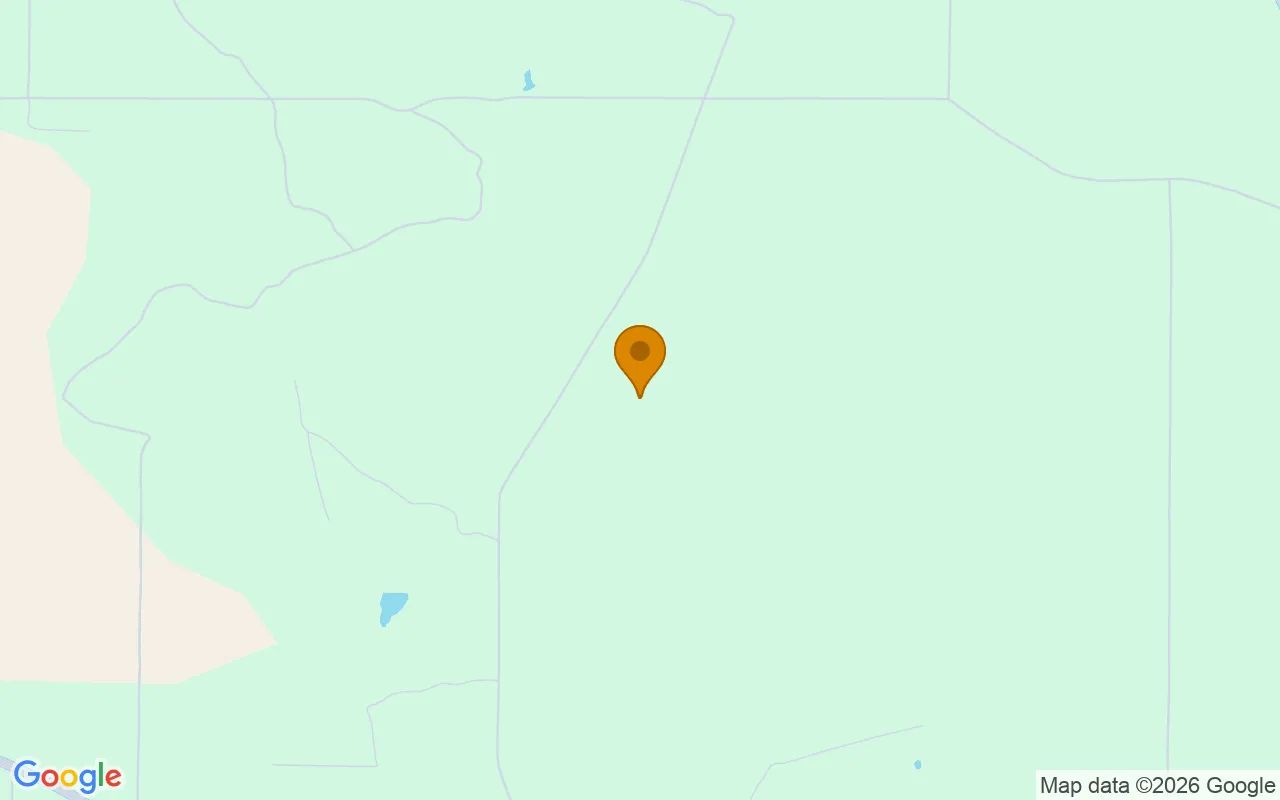 74.57 Acres in Pitts - Wilcox County, GA in Wilcox County, Georgia