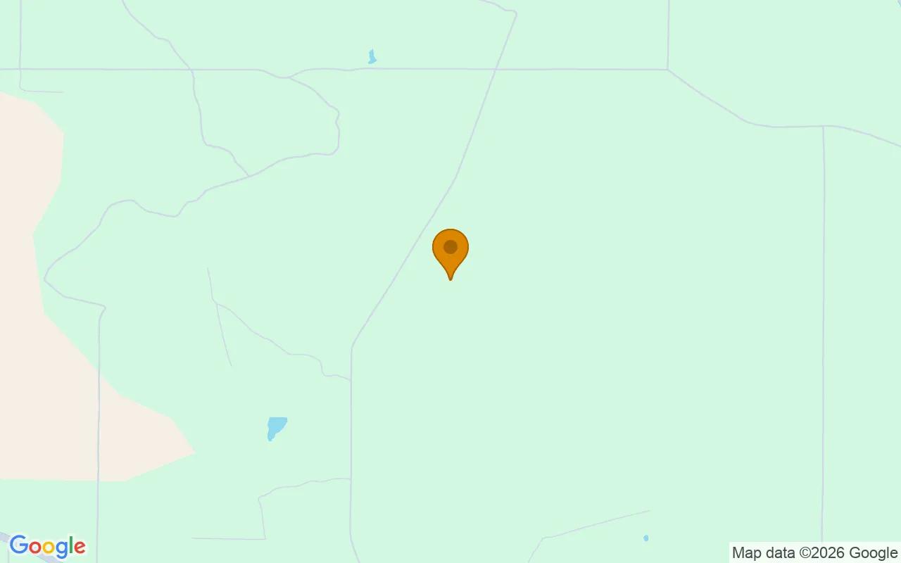 74.57 Acres in Pitts - Wilcox County, GA - Image 4