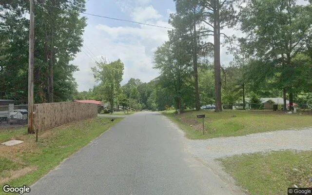 Decorative background for 0.15 Acres in Roberta - Crawford County, GA image 6