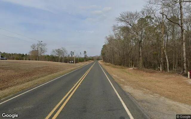 Decorative background for 74.7 Acres in Soperton - Treutlen County, GA image 5