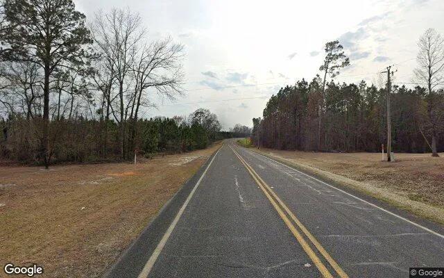 Decorative background for 74.7 Acres in Soperton - Treutlen County, GA image 6