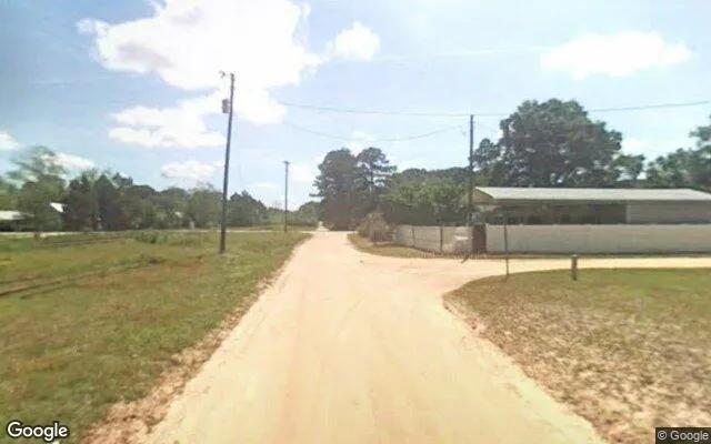 Decorative background for 0.21 Acres in Millwood - Ware County, GA image 5