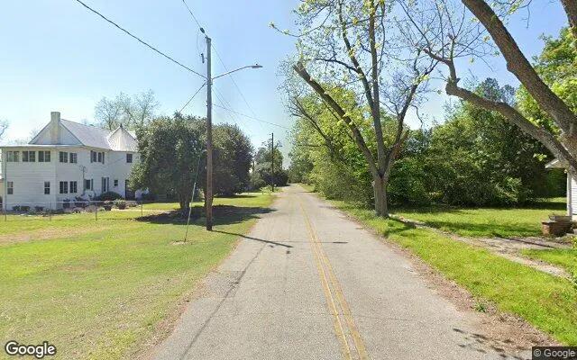 Decorative background for 1.5 Acres in Parrott - Terrell County, GA image 5