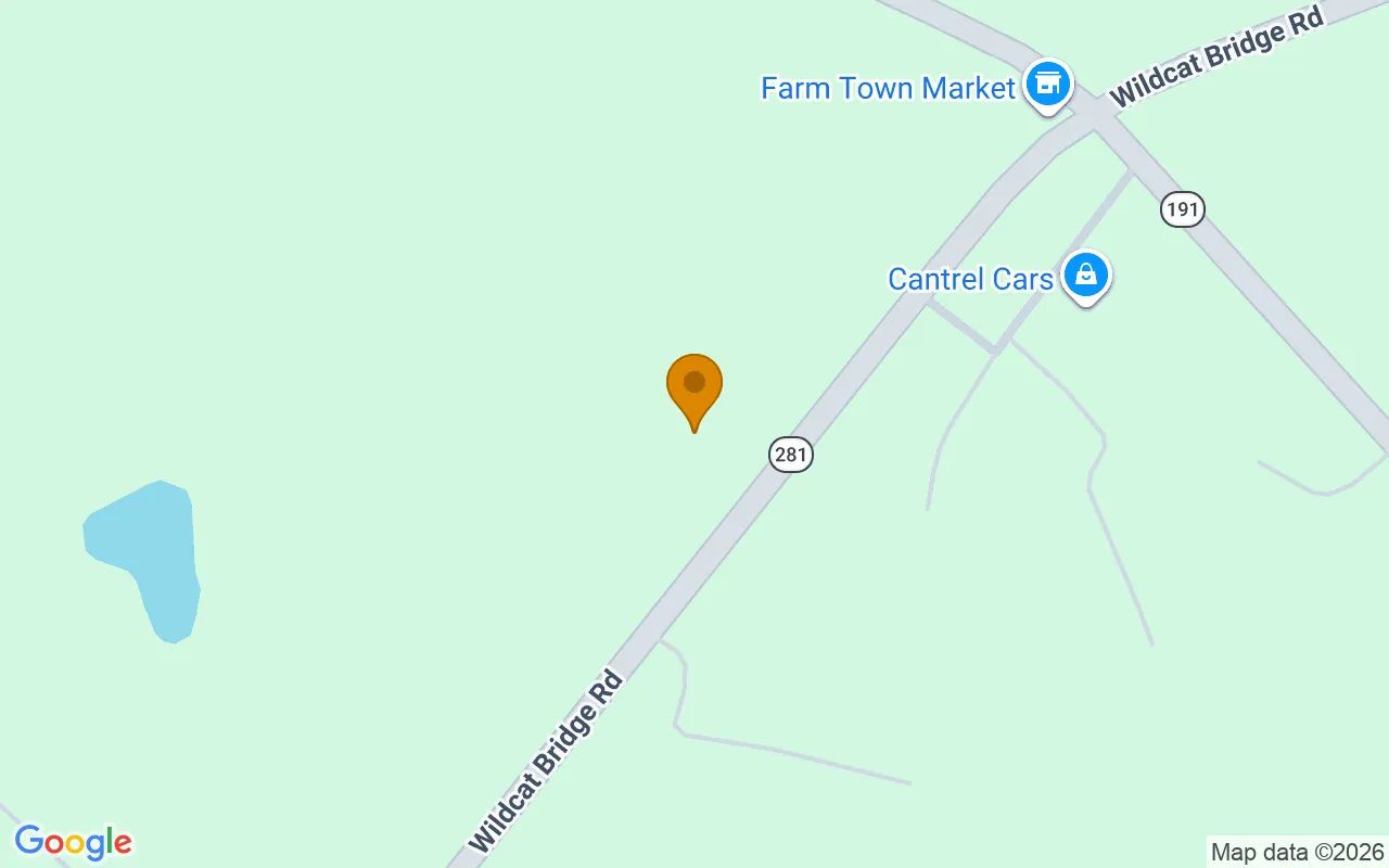 15.1 Acres in Danielsville - Madison County, GA in Madison County, Georgia