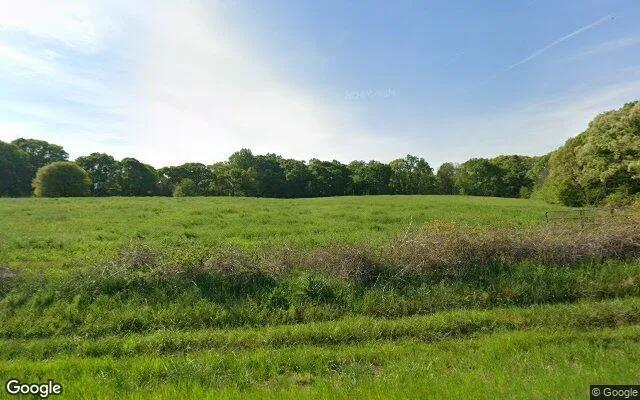 15.1 Acres in Danielsville - Madison County, GA - Image 4