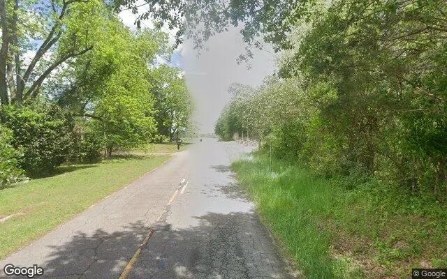 Decorative background for 0.27 Acres in Gay - Meriwether County, GA image 6