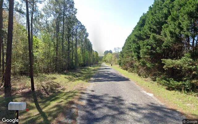 Decorative background for 1.56 Acres in Chula - Tift County, GA image 5