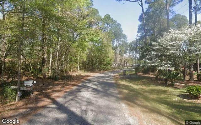 Decorative background for 1.56 Acres in Chula - Tift County, GA image 6