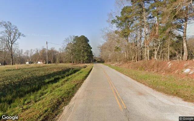 Decorative background for 34.87 Acres in Warrenton - Warren County, GA image 5