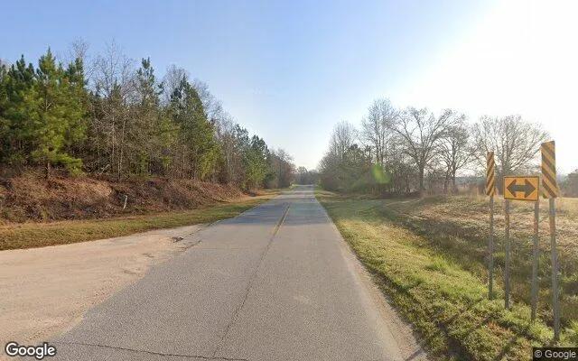 Decorative background for 34.87 Acres in Warrenton - Warren County, GA image 6
