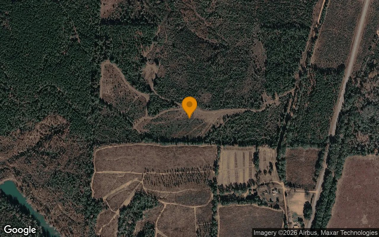 34.53 Acres in Lumpkin - Stewart County, GA in Stewart County, Georgia