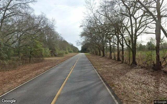 Decorative background for 34.53 Acres in Lumpkin - Stewart County, GA image 5