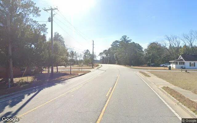 Decorative background for 0.43 Acres in Hagan - Evans County, GA image 5