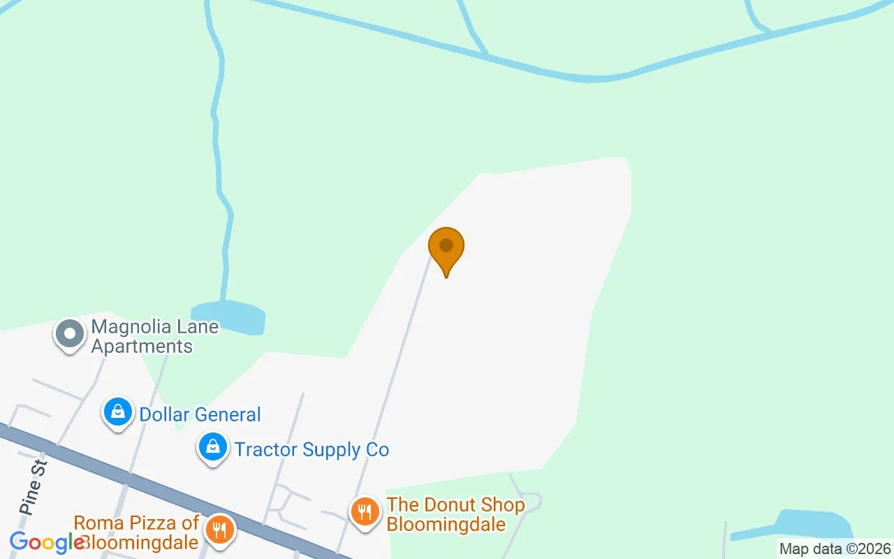 0.31 Acres in Bloomingdale - Chatham County, GA in Chatham County, Georgia