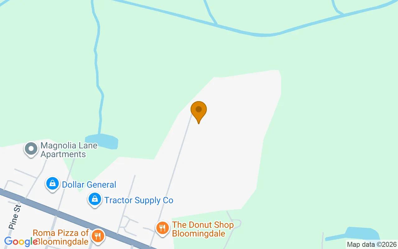 0.31 Acres in Bloomingdale - Chatham County, GA - Image 2