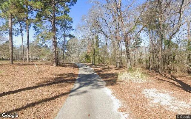 Decorative background for 1.51 Acres in Macon - Macon County, GA image 5