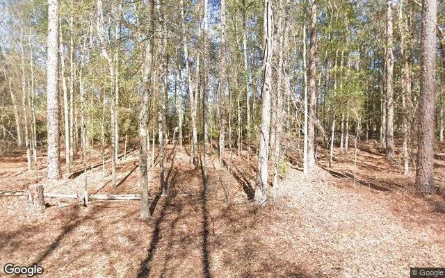 1.5 Acres in Reidsville - Tattnall County, GA in Tattnall County, Georgia