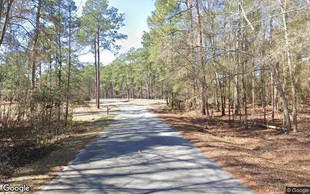 Decorative background for 1.5 Acres in Reidsville - Tattnall County, GA image 5