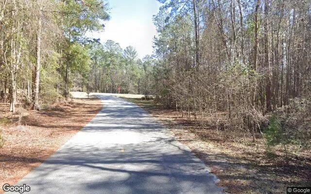 Decorative background for 1.5 Acres in Reidsville - Tattnall County, GA image 6