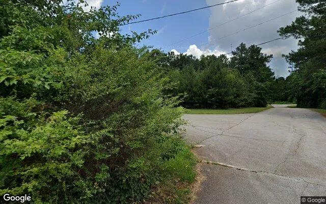 Decorative background for 0.55 Acres in Conyers - Rockdale County, GA image 6