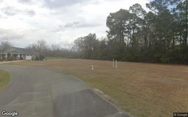 Decorative background for 0.21 Acres in Coolidge - Thomas County, GA image 5