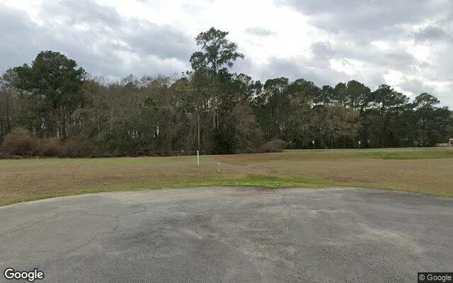 Decorative background for 0.21 Acres in Coolidge - Thomas County, GA image 6