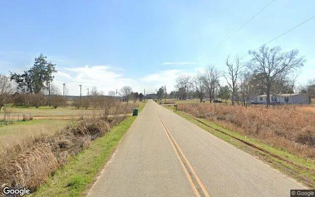 Decorative background for 3.53 Acres in Smithville - Lee County, GA image 5
