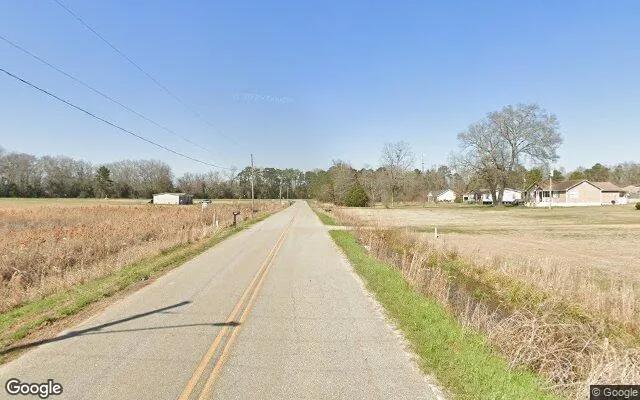 Decorative background for 3.53 Acres in Smithville - Lee County, GA image 6