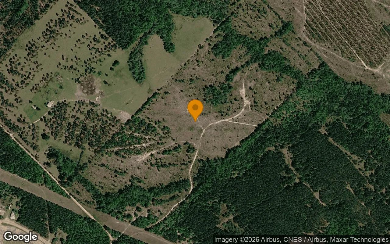 74.6 Acres in Eastman - Dodge County, GA in Dodge County, Georgia