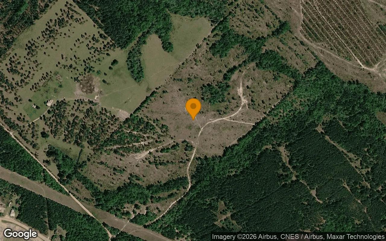74.6 Acres in Eastman - Dodge County, GA - Main image