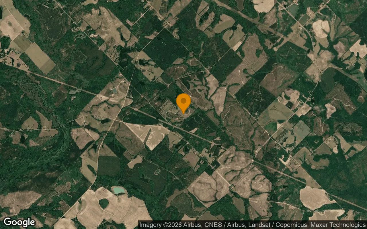 74.6 Acres in Eastman - Dodge County, GA in Dodge County, Georgia