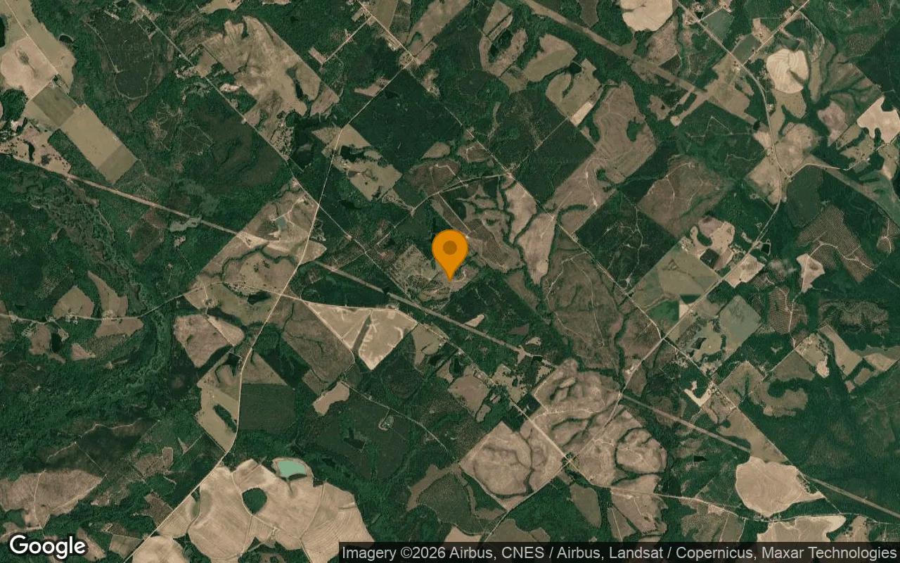 74.6 Acres in Eastman - Dodge County, GA - Image 3