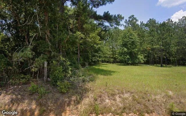 74.6 Acres in Eastman - Dodge County, GA in Dodge County, Georgia